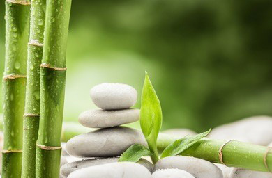 我们应该如何来调节人体湿气过重的情况