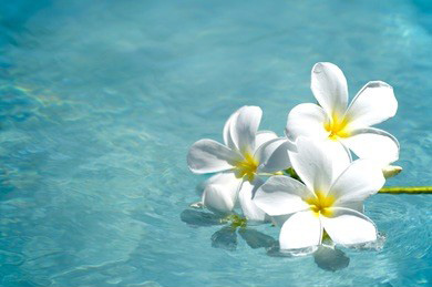 调节腿部经常抽筋的按摩穴位介绍给的大家